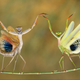 Illustration for article titled The best pictures from National Geographic's Photo Contest 2014